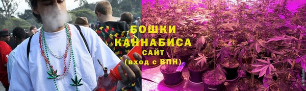 spice Вяземский