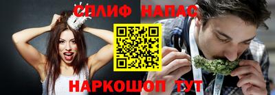 сатива Абакан