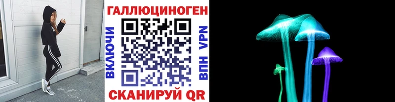 цена наркотик  Александров  MEGA вход  Галлюциногенные грибы мицелий 
