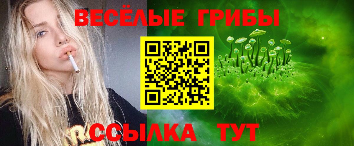 Бошки Шишки  Молли  Hash Oil  Cocaine  Наркошоп  Александров  Хэш  Мефедрон  A PVP  Вход с VPN 