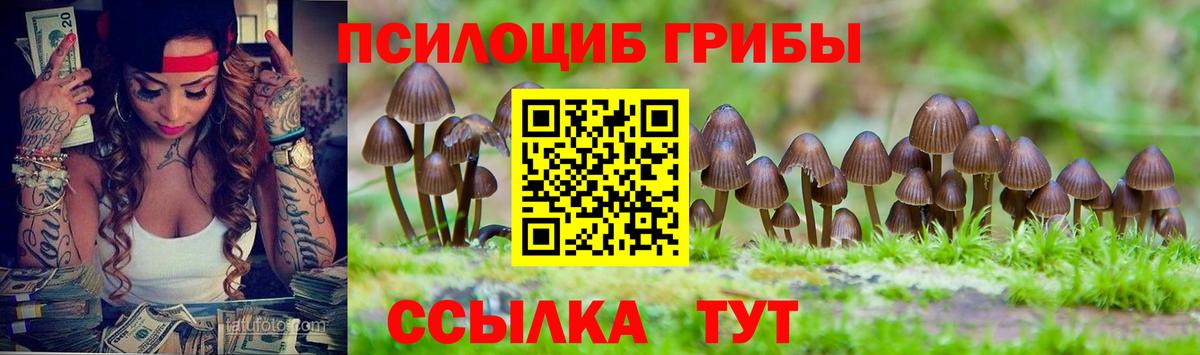 Галлюциногенные грибы Psilocybe  Вход с VPN  Галлюциногенные грибы мухоморы  Александров 