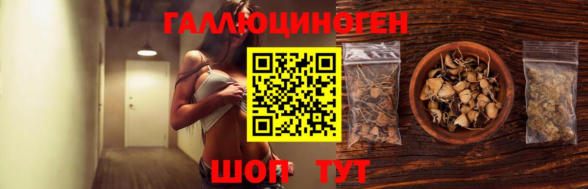 Галлюциногенные грибы MAGIC MUSHROOMS  Вход с VPN  Александров  Псилоцибиновые грибы Psilocybe 