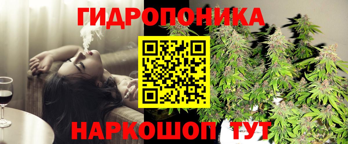 Каннабис White Widow Александров