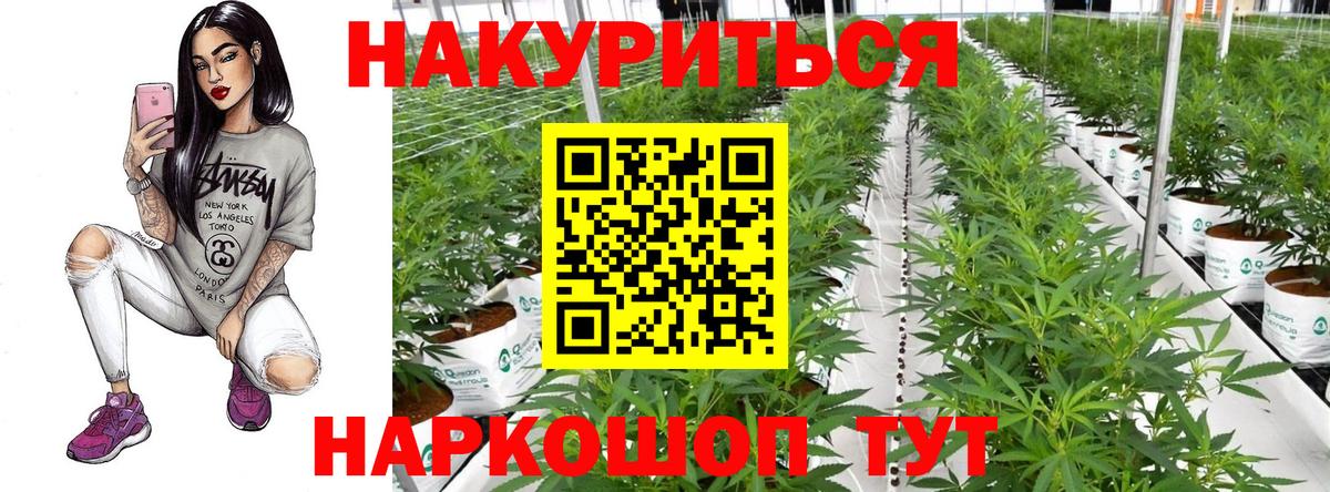 Марихуана White Widow  Александров  Бошки марихуана AK-47  Бошки марихуана план  МАРИХУАНА AK-47 